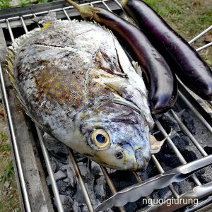 Cá dìa Nước lợ_1 con/túi PA_0,6-0,7kg