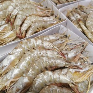 Tôm he thiên nhiên 32 - 35 con/500g