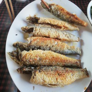 Cá đối Thiên nhiên Rừng ngập mặn _Gói 350g