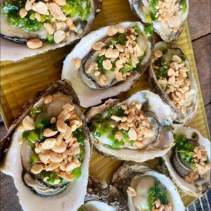 HÀU VỎ NGUYÊN CON TƯƠI SỐNG