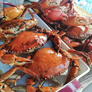 Cua biển Rừng ngập mặn Bến Tre_2-3con/kg (ĐẶT TRƯỚC)