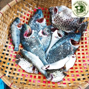 Cá Rô phi rừng ngặp mặn_1 con/Túi PA_0.3 - 0.4kg