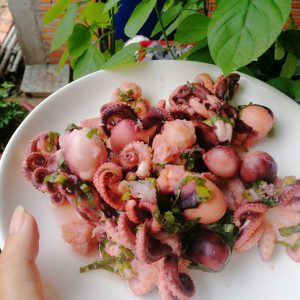 Alternative view of Bạch tuộc trứng_Gói 1000g