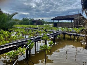 A05f30ed0bd1c88f91c0 600x450