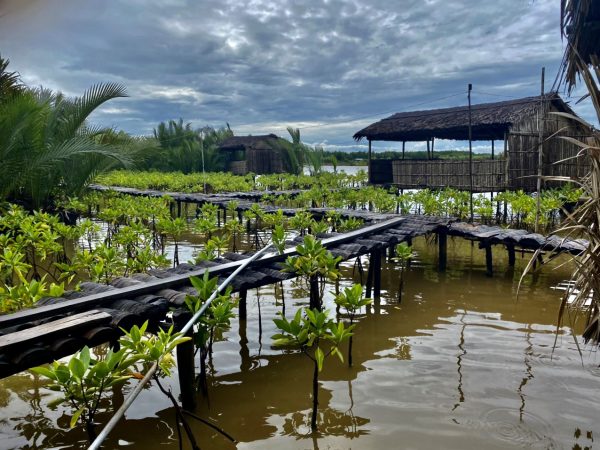 A05f30ed0bd1c88f91c0 600x450