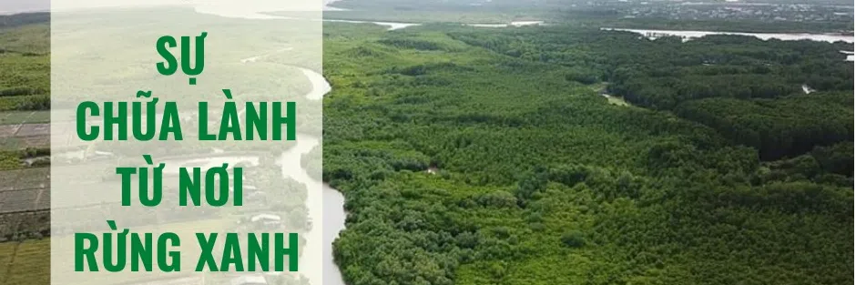 Banner Chinh Thoi Trang 4