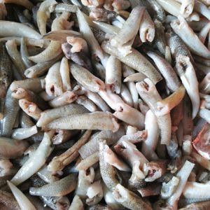 Alternative view of Cá Bống nhiều loại làm sạch (tặng kèm nước kho quẹt) _Gói 300g