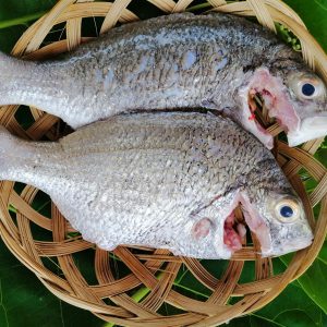 Cá hanh Nước lợ_ Gói 550g