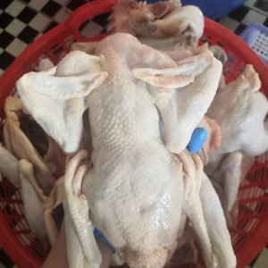 Alternative view of Gà tre thả vườn làm sạch_ con 0.9kg - 1 kg