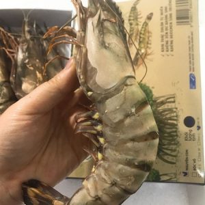 Alternative view of Tôm sú thiên nhiên 10-12 con/kg_HỘP GIẤY_ 500g